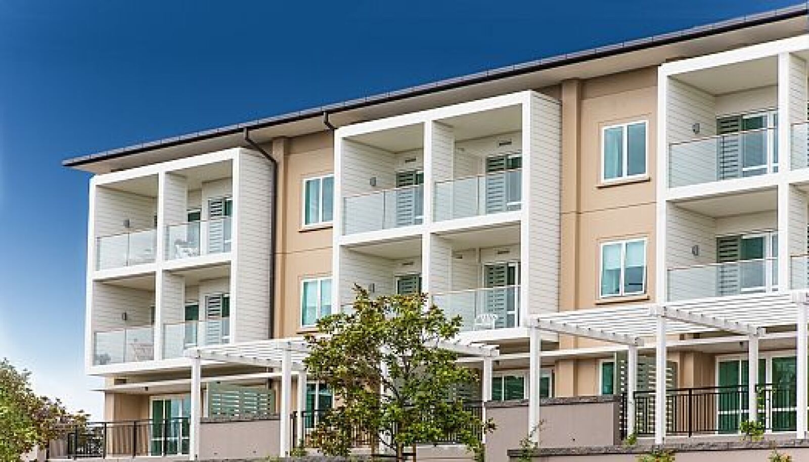 Delighted residents move into the Mt Albert apartments